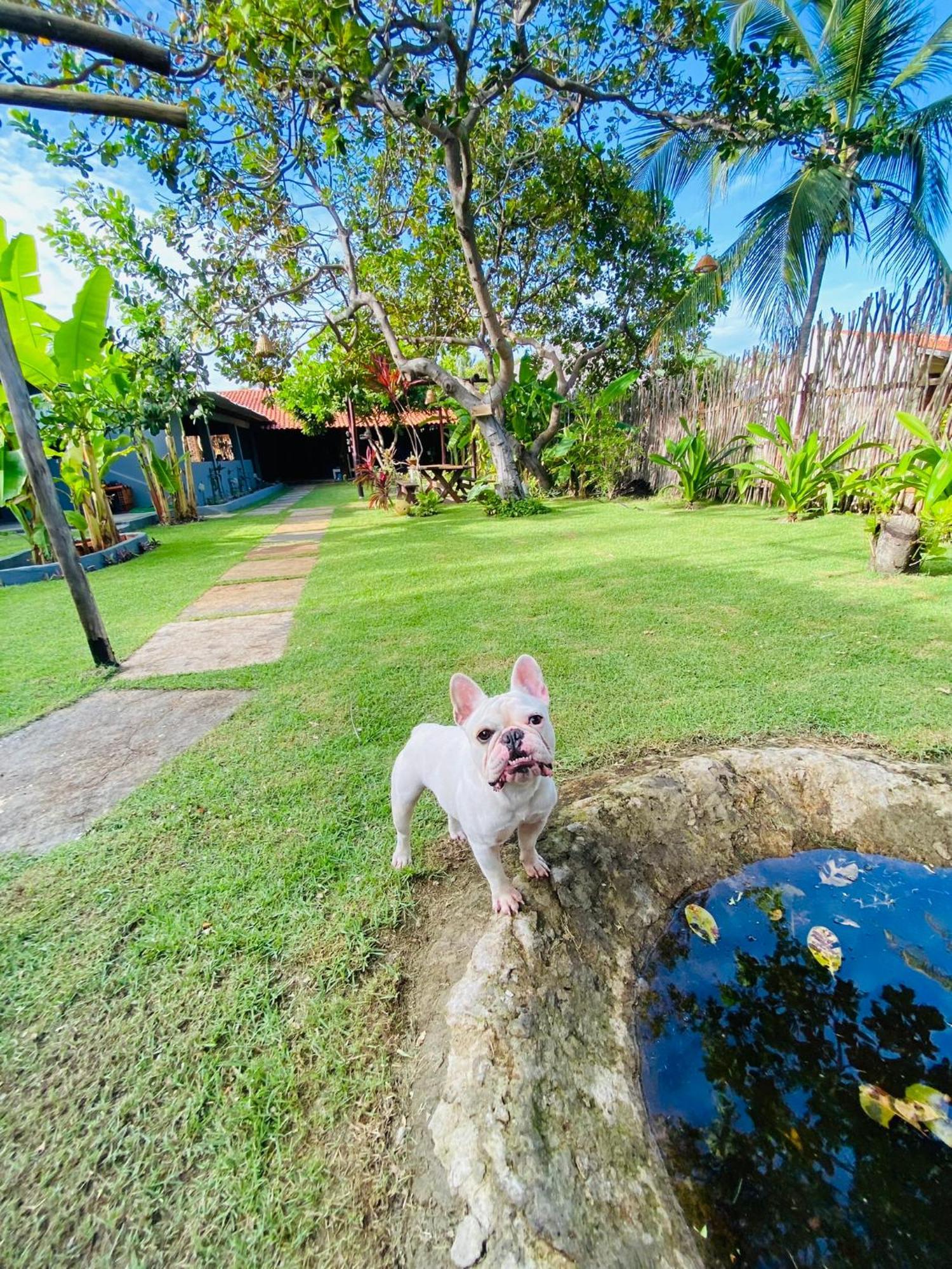 Ricatins B&B 외부 사진